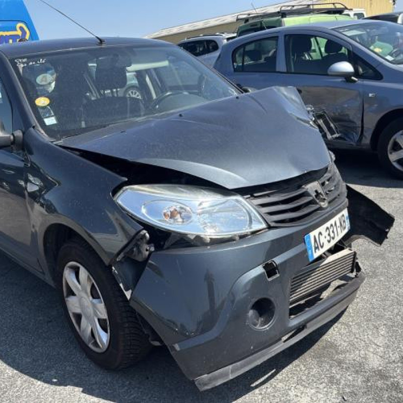 Porte avant droit DACIA SANDERO 1 Photo n°8