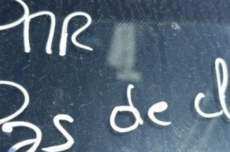 Porte avant droit DACIA SANDERO 1
