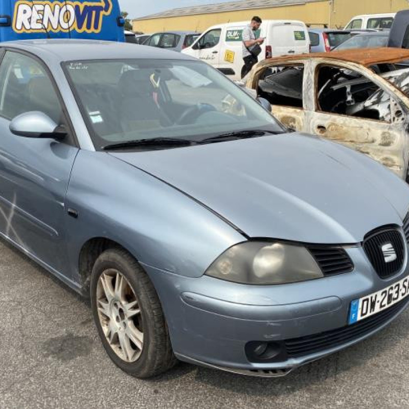 Porte avant droit SEAT IBIZA 3 Photo n°8