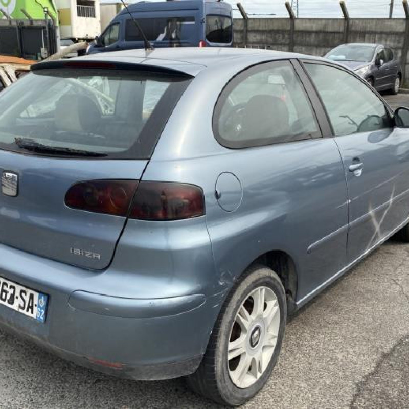 Porte avant droit SEAT IBIZA 3 Photo n°9