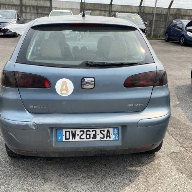 Porte avant droit SEAT IBIZA 3 Photo n°11