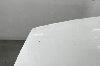 Capot KIA RIO 3