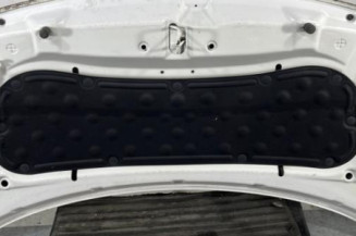 Capot KIA RIO 3