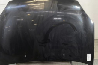 Capot RENAULT CLIO 2 Photo n°1