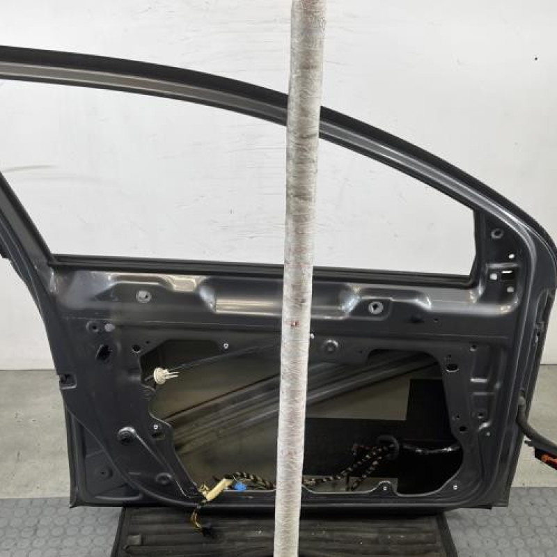 Porte avant gauche VOLKSWAGEN GOLF 6 Photo n°8