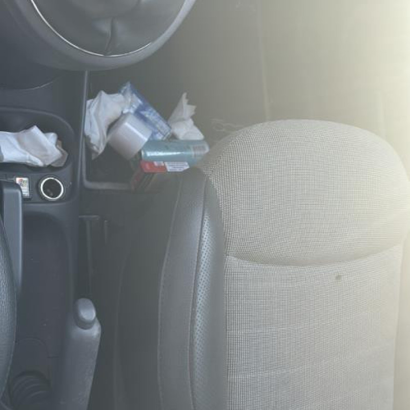 Porte avant gauche FIAT 500 2 Photo n°19