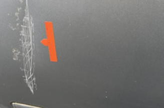 Porte avant gauche PEUGEOT 407