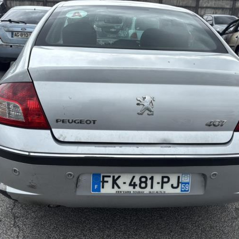 Porte avant gauche PEUGEOT 407 Photo n°12