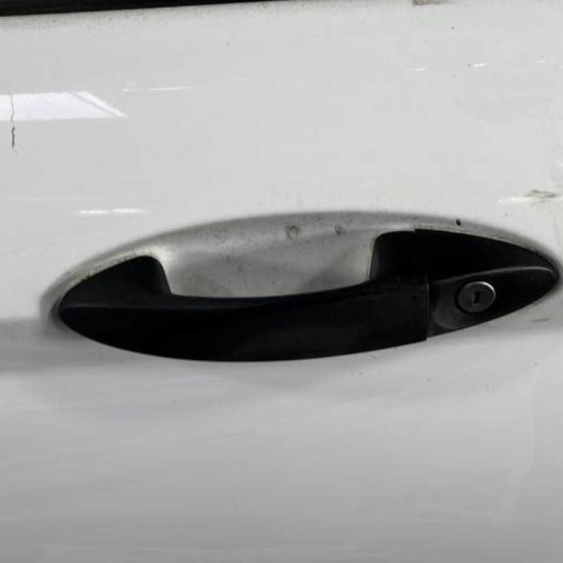 Porte avant gauche FORD FIESTA 6 Photo n°2