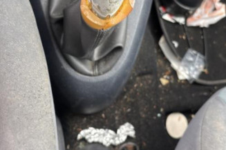 Porte avant gauche RENAULT CLIO 2