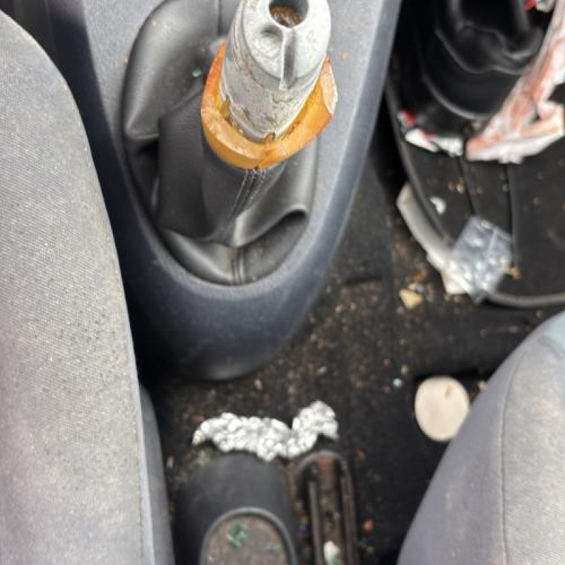 Porte avant gauche RENAULT CLIO 2 Photo n°19