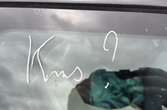 Porte avant gauche RENAULT CLIO 2