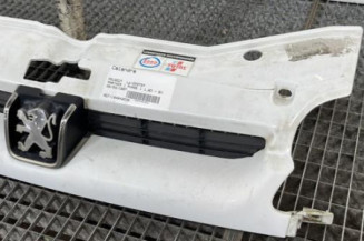 Calandre PEUGEOT PARTNER 1