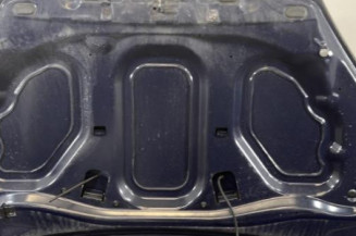Capot DACIA SANDERO 1