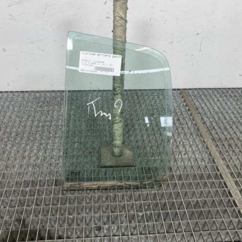 Custode arriere gauche (porte) RENAULT CLIO 2 Photo n°1