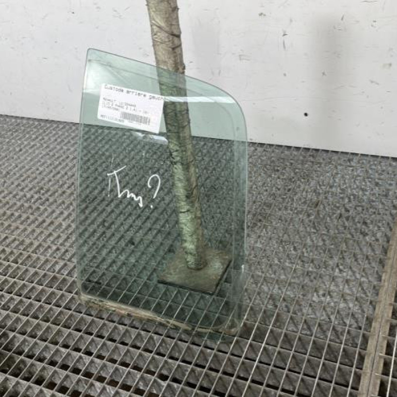 Custode arriere gauche (porte) RENAULT CLIO 2 Photo n°3