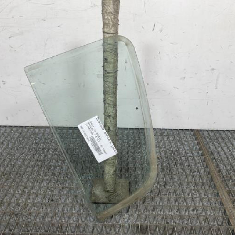 Custode arriere gauche (porte) DACIA SANDERO 1 Photo n°1