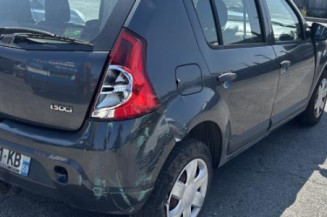 Custode arriere gauche (porte) DACIA SANDERO 1