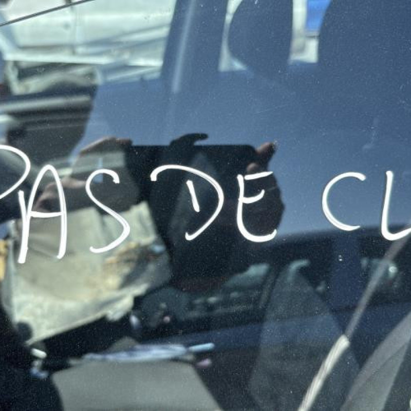 Custode arriere gauche (porte) DACIA SANDERO 1 Photo n°16