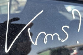 Custode arriere gauche (porte) DACIA SANDERO 1