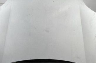 Capot RENAULT KANGOO 1 Photo n°1