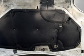 Capot RENAULT KANGOO 1