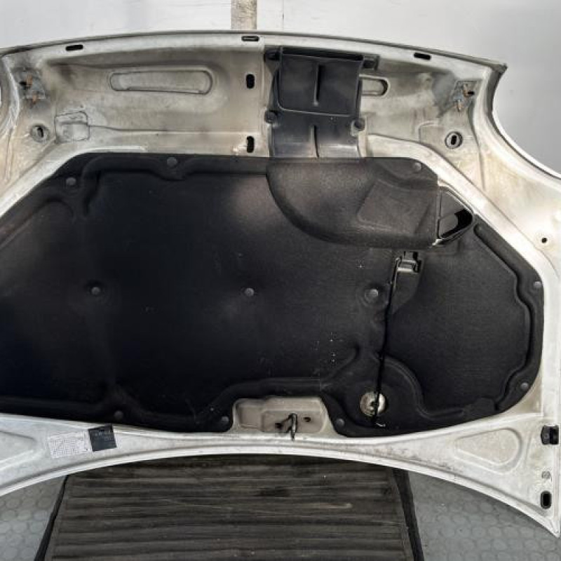 Capot RENAULT KANGOO 1 Photo n°9