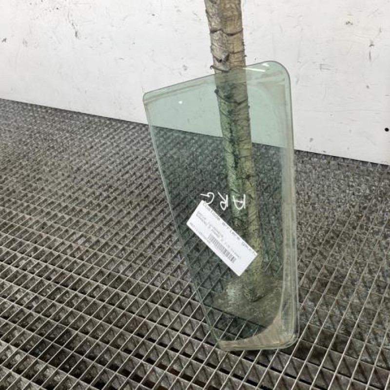 Custode arriere gauche (porte) DACIA SANDERO 2 Photo n°3