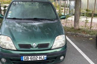 Custode avant droit (porte) RENAULT SCENIC 1
