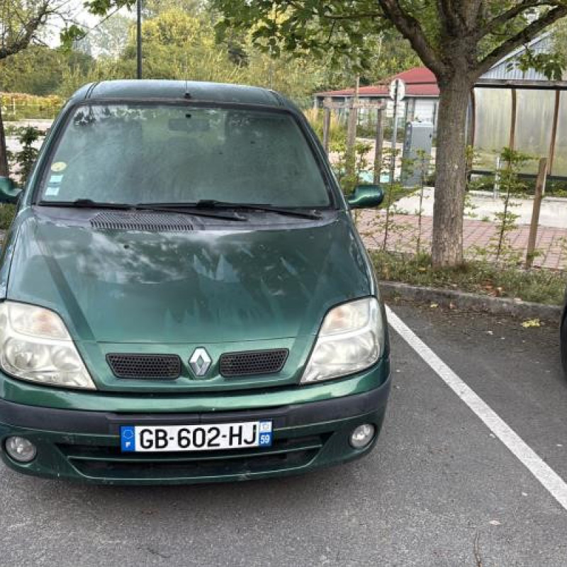 Custode avant droit (porte) RENAULT SCENIC 1 Photo n°6