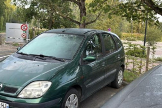 Custode avant droit (porte) RENAULT SCENIC 1