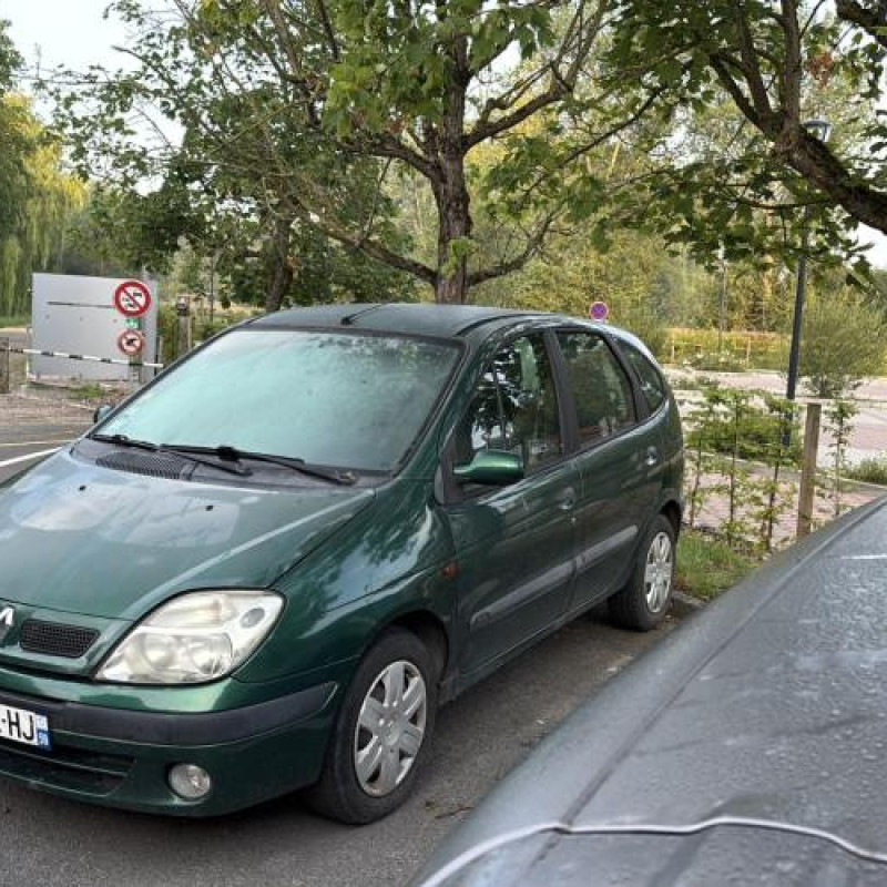 Custode avant droit (porte) RENAULT SCENIC 1 Photo n°7