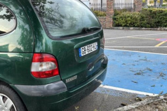 Custode avant droit (porte) RENAULT SCENIC 1