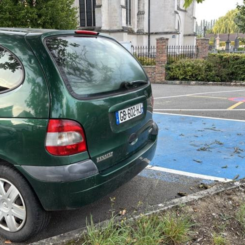 Custode avant droit (porte) RENAULT SCENIC 1 Photo n°8