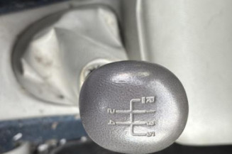 Custode avant droit (porte) RENAULT SCENIC 1