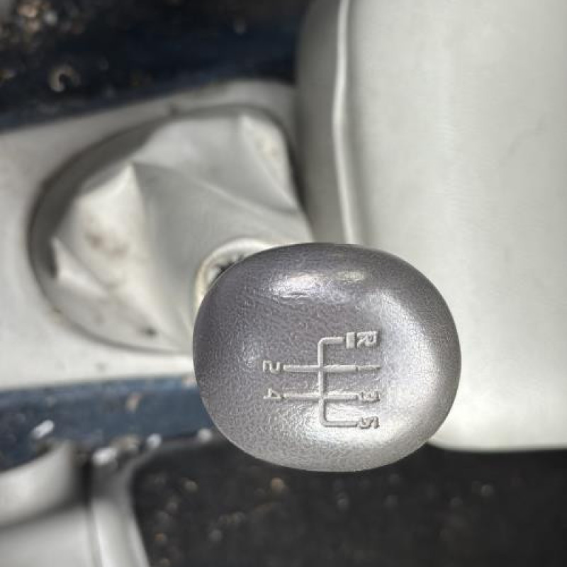 Custode avant droit (porte) RENAULT SCENIC 1 Photo n°10