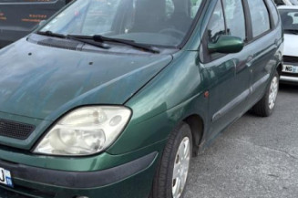 Custode avant droit (porte) RENAULT SCENIC 1