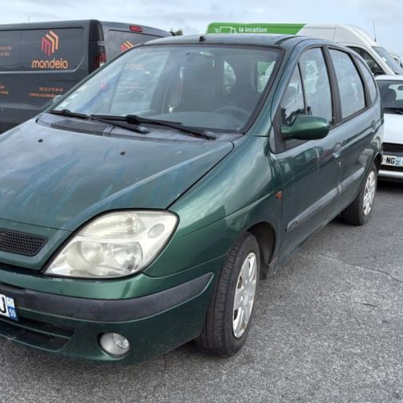 Custode avant droit (porte) RENAULT SCENIC 1 Photo n°15
