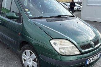 Custode avant droit (porte) RENAULT SCENIC 1