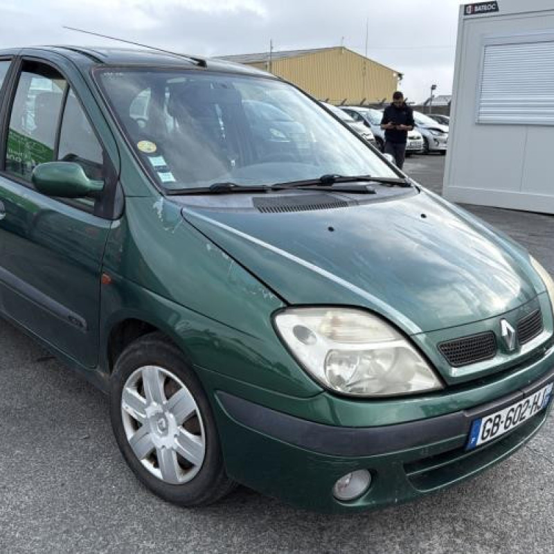 Custode avant droit (porte) RENAULT SCENIC 1 Photo n°16