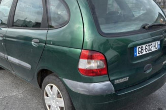 Custode avant droit (porte) RENAULT SCENIC 1