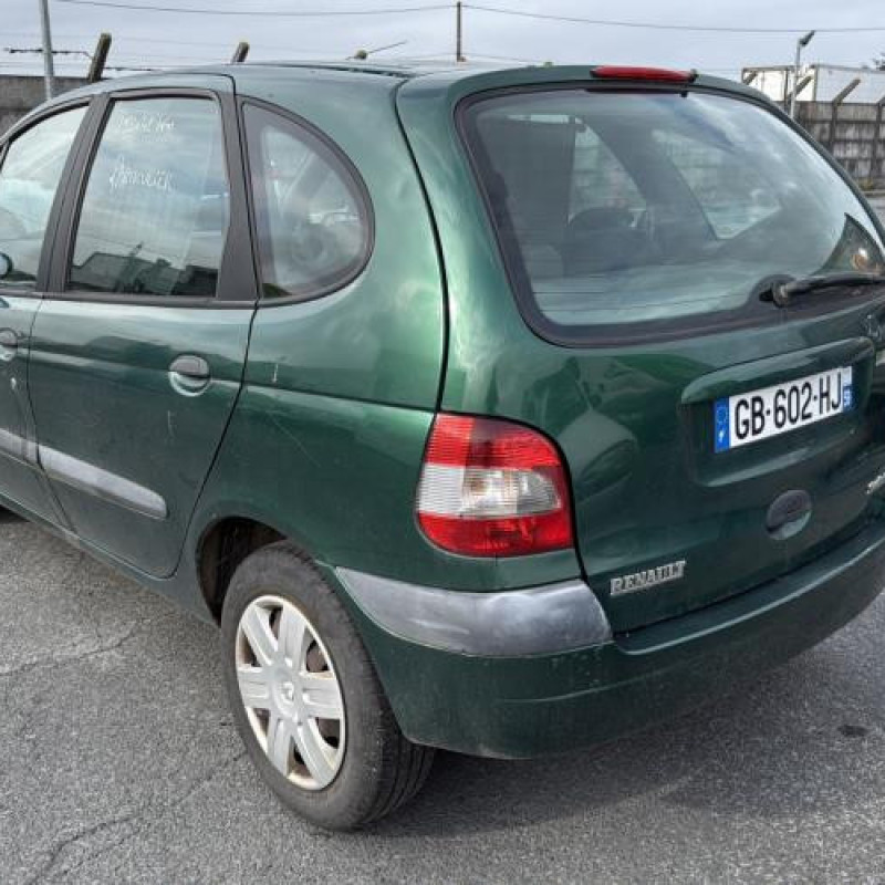 Custode avant droit (porte) RENAULT SCENIC 1 Photo n°18