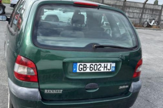 Custode avant droit (porte) RENAULT SCENIC 1