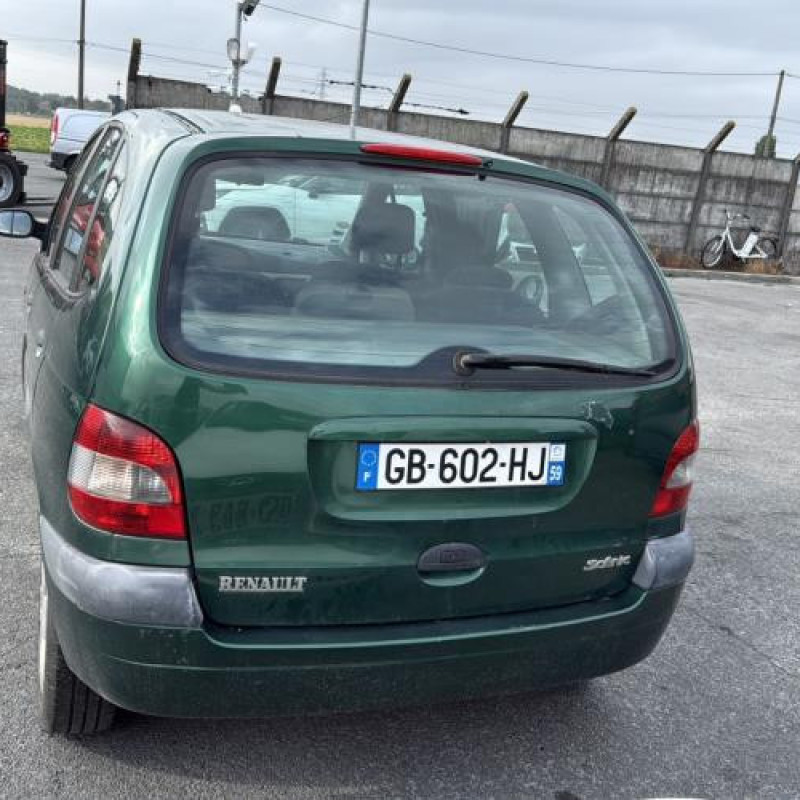 Custode avant droit (porte) RENAULT SCENIC 1 Photo n°19
