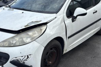 Custode avant gauche (porte) PEUGEOT 207