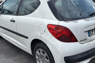 Custode avant gauche (porte) PEUGEOT 207