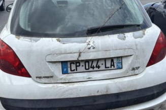 Custode avant gauche (porte) PEUGEOT 207