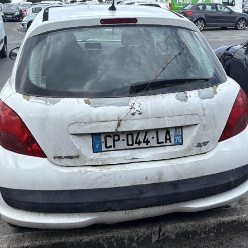Custode avant gauche (porte) PEUGEOT 207 Photo n°9