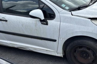 Custode avant gauche (porte) PEUGEOT 207