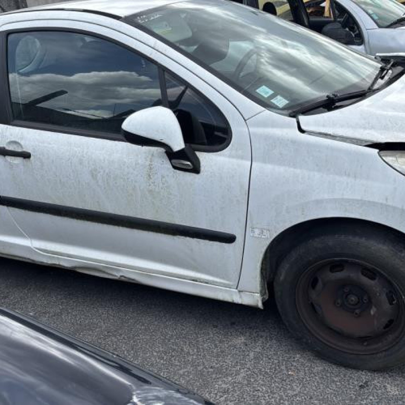 Custode avant gauche (porte) PEUGEOT 207 Photo n°11